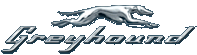 Greyhound Greyhound logo
