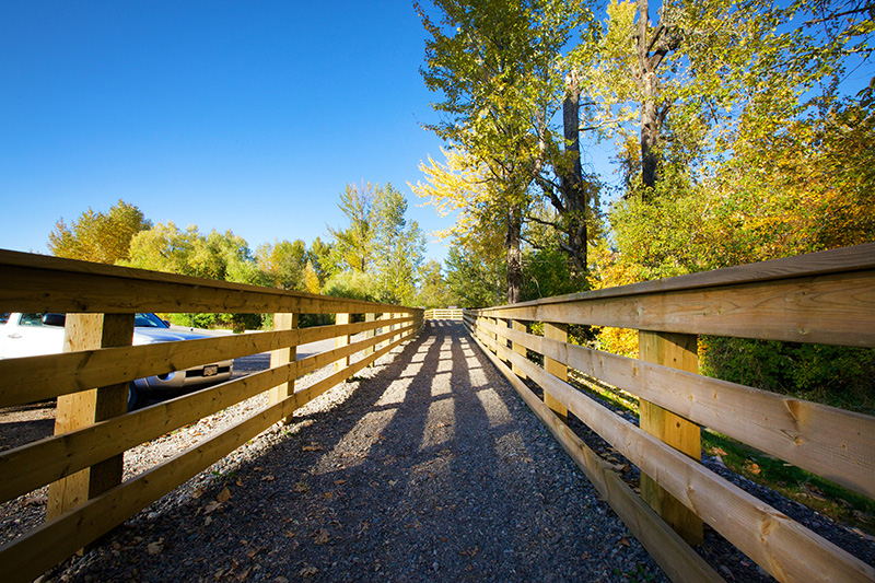 Park trail on a sunny day